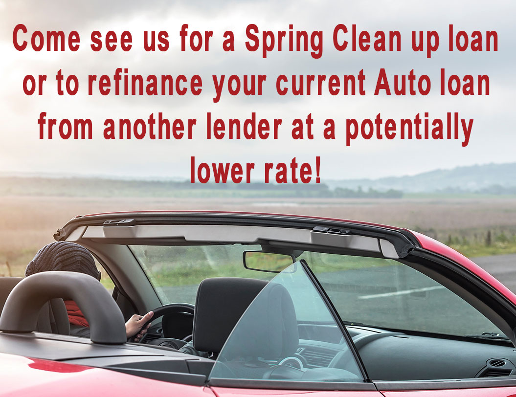springCleanup_loan